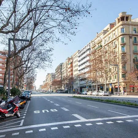 P2par1002 - Super Bright & New In The Center Barcelona